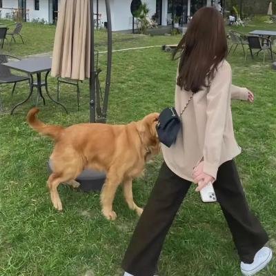 欢乐野营两家人